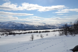 Utsikt över Repparfjorden